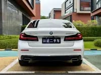 2021 BMW 5 Series 530Li Leading Edition M Sport Package — миниатюра 5