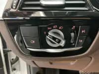 2020 BMW 5 Series 530Li xDrive Luxury Package — миниатюра 20