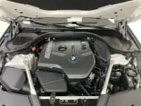 2020 BMW 5 Series 530Li xDrive Luxury Package — миниатюра 26