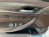 2020 BMW 5 Series 530Li xDrive Luxury Package — миниатюра 10