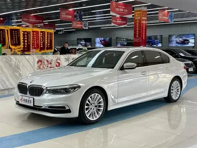 2020 BMW 5 Series 530Li xDrive Luxury Package