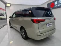 Buick GL8 2020 ES Avantgarde 653T Premium Edition — миниатюра 20