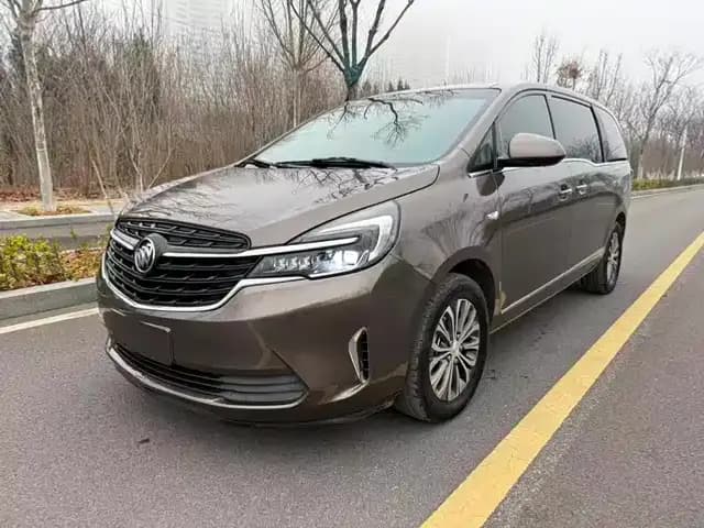 Buick GL8 2021 Land Business Class 652T Luxury