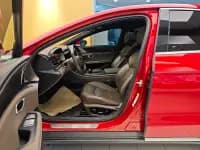 2020 Han DM 4WD Performance Premium Edition — миниатюра 13