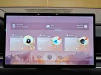 2020 Han DM 4WD Performance Premium Edition — миниатюра 15