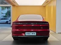 2020 Han DM 4WD Performance Premium Edition — миниатюра 29