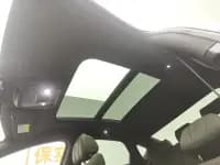 2020 Han DM 4WD Performance Premium Edition — миниатюра 14