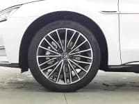 2020 Han DM 4WD Performance Premium Edition — миниатюра 17