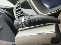 2020 Han DM 4WD Performance Luxury Edition — миниатюра 21