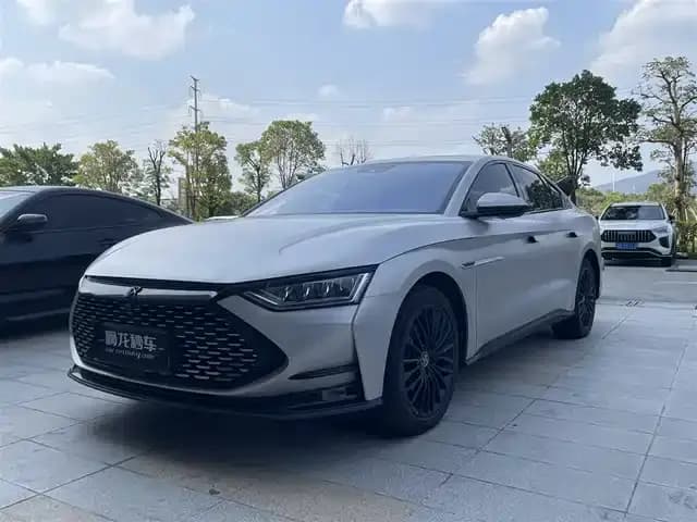 2020 Han DM 4WD Performance Premium Edition