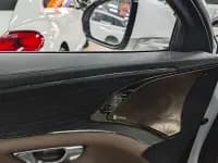 2020 Han DM 4WD Performance Premium Edition — миниатюра 5