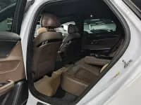 2020 Han DM 4WD Performance Premium Edition — миниатюра 6