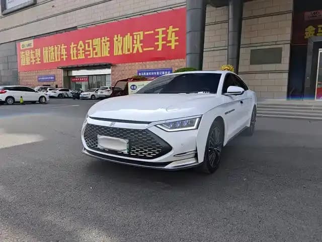 2020 Han DM 4WD Performance Premium Edition