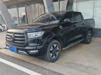 Cannon 2021 2.0T Passenger Global Edition Automatic Diesel 4WD Comfort Standard Box Trailer Version GW4D20M — миниатюра 1