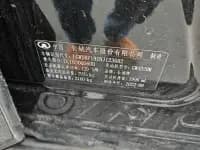 Cannon 2021 2.0T Passenger Global Edition Automatic Diesel 4WD Comfort Standard Box Trailer Version GW4D20M — миниатюра 9