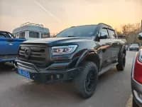 Cannon 2023 2.0T Passenger Version Automatic Gasoline 4WD Premium Edition GW4C20B — миниатюра 1