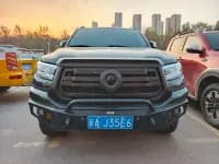 Cannon 2023 2.0T Passenger Version Automatic Gasoline 4WD Premium Edition GW4C20B — миниатюра 2