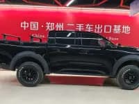 Cannon 2023 2.0T Commercial Version Automatic Diesel 4WD Elite Standard Box GW4D20M — миниатюра 4