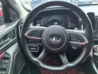 Cannon 2020 2.0T Off-Road Edition Automatic Diesel 4WD High-End Version GW4D20M — миниатюра 13