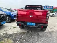 Cannon 2020 2.0T Off-Road Edition Automatic Diesel 4WD High-End Version GW4D20M — миниатюра 6