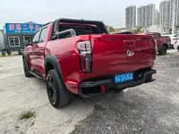 Cannon 2020 2.0T Off-Road Edition Automatic Diesel 4WD High-End Version GW4D20M — миниатюра 7