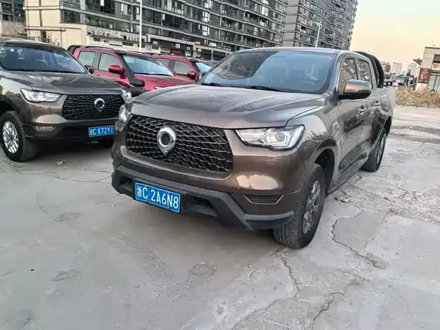 Cannon 2021 2.0T Commercial Version Automatic Diesel 2WD Elite Long Box GW4D20M