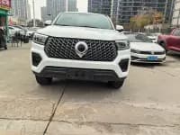 Cannon 2023 2.0T Commercial Version Automatic Diesel Two-Wheel Drive Elite Long Box GW4D20M — миниатюра 2