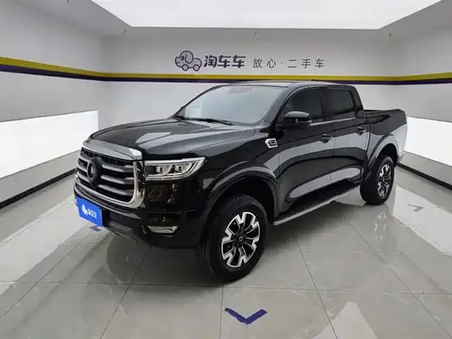 Cannon 2021 2.0T Passenger Global Edition Automatic Diesel Two-Wheel Drive Comfort Standard Box GW4D20M