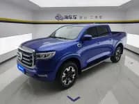 Cannon 2019 2.0T Automatic Gasoline 2WD Comfort Edition GW4C20B — миниатюра 1