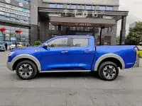 Cannon 2019 2.0T Automatic Gasoline 4WD Comfort Edition GW4C20B — миниатюра 3