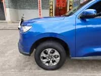 Cannon 2021 2.0T Commercial Version Automatic Diesel 2WD Elite Long Box GW4D20M — миниатюра 25