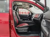 Cannon 2020 2.0T Off-Road Edition Automatic Gasoline 4WD High-End Version GW4C20B — миниатюра 23