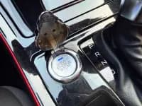 Aeolus Yixuan 2021 230T Automatic Chasing Knight Edition — миниатюра 21