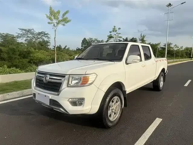 Rich 2018 2.5T Diesel 2WD Luxury Long Cargo Box ZD25T5