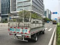 Dongfeng Xiaokang D51 2020 1.5L Luxury Model with Dual Rear Wheels (National VI Emission Standard) DK15 — миниатюра 4