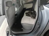 eπ007 2024 Pure Electric 540 AWD Max Edition — миниатюра 10