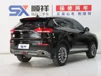 Haval H6 2020 1.5GDIT Automatic Platinum Champion Edition — миниатюра 4