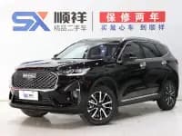 Haval H6 2022 Third Generation 1.5T Automatic Two-Wheel Drive Pro — миниатюра 1