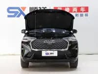 Haval H6 2022 Third Generation 1.5T Automatic Two-Wheel Drive Pro — миниатюра 19