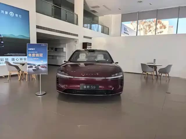 Enjoy S9 2024 Pure Electric Max Rear-Wheel Drive Long-Range Edition