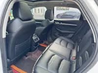 Xingrui 2021 2.0TD Luxury Edition — миниатюра 17