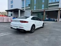 Xingrui 2021 2.0TD Luxury Edition — миниатюра 24