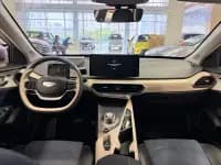 Geely Geometry A 2021 Pro Premium High-Energy Range Edition 600KM A600 Asian Games Edition — миниатюра 13