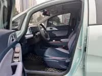 Geely Geometry E Firefly 2023 Model 401KM Linglong Tiger 5-Seater — миниатюра 4