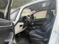 EX3 Kung Fu Bull 2021 Model — миниатюра 6