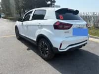 EX3 Kung Fu Bull 2021 Model — миниатюра 8