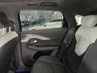 Jihu Alphard S 2023 735E+ Forest Edition 160kW — миниатюра 29