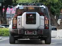 Jetour Traveler C-DM 2024 Model C-DM 129KM Forest Edition — миниатюра 5