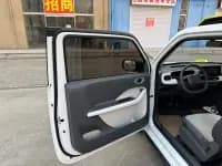 Panda 2025 Model 210km Panda Rider — миниатюра 12