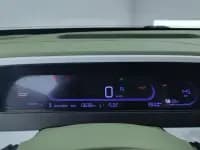 Panda 2025 Model 210km Panda Rider — миниатюра 14